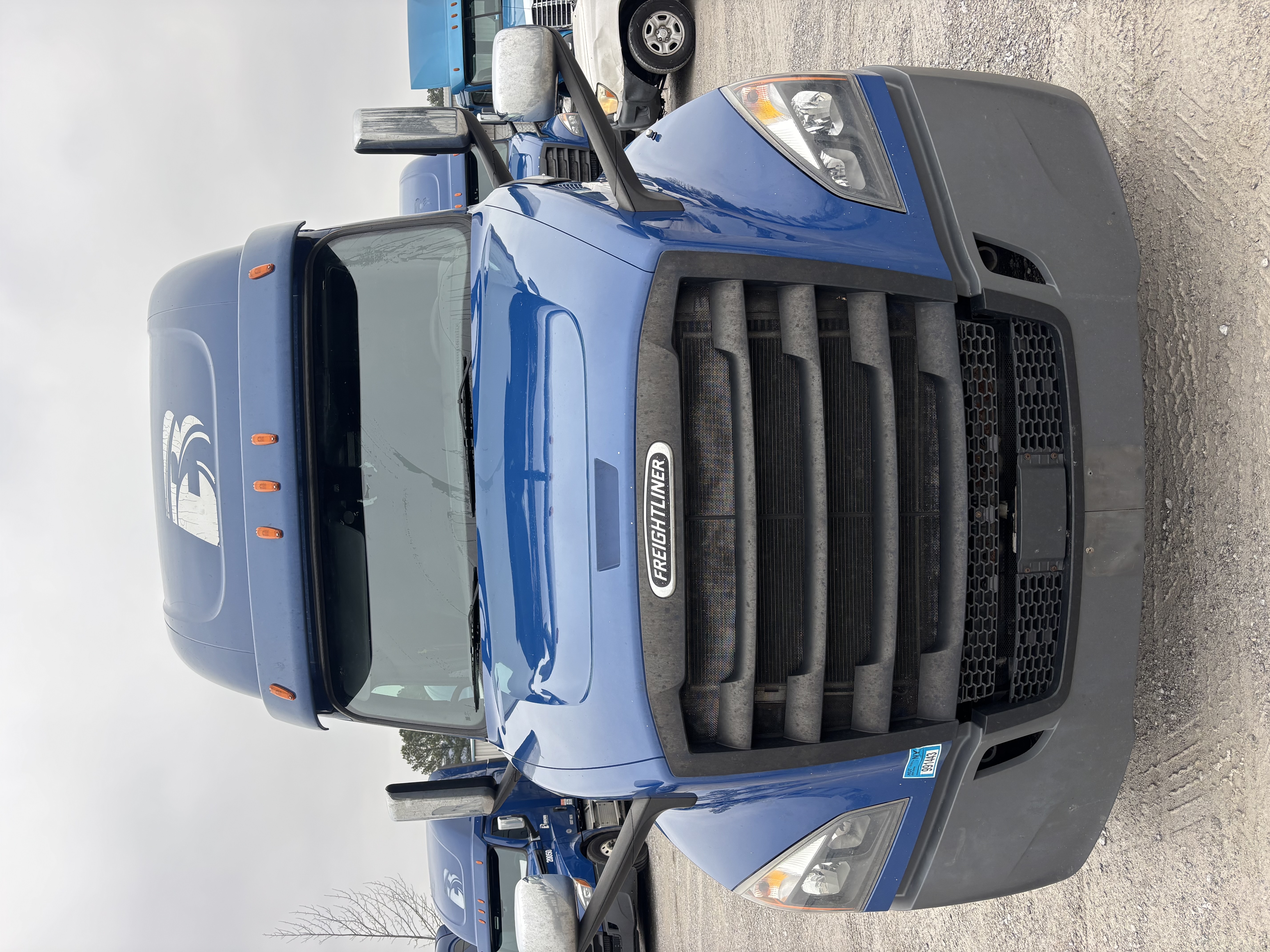 2019 FREIGHTLINER CASCADIA 126